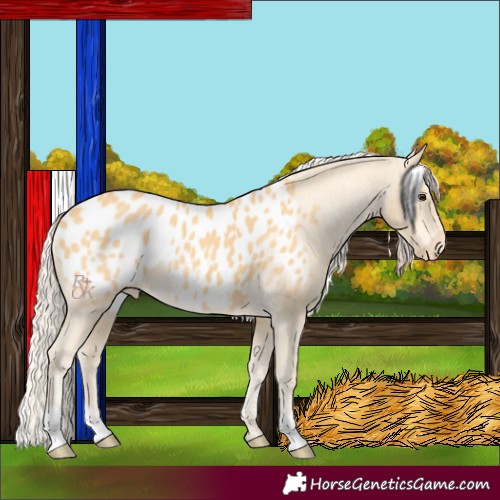 Horse Color:Palomino Blanket 