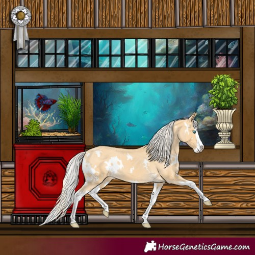 Horse Color:White Spotted Palomino Splash Varnish 