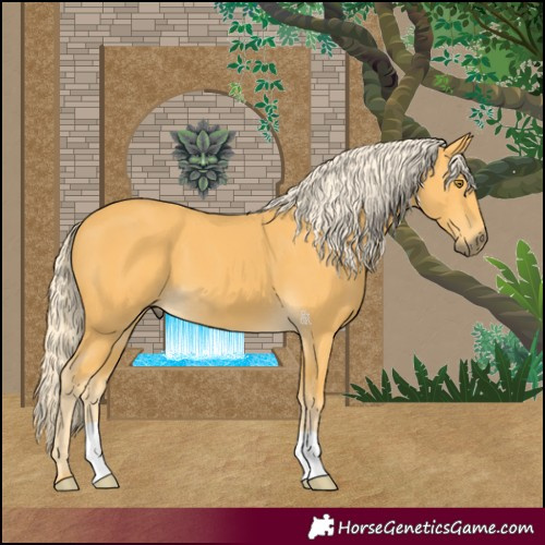Horse Color:Palomino 