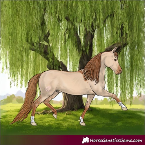 Horse Color:Red Dun 