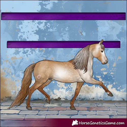 Horse Color:Gray Red Dun