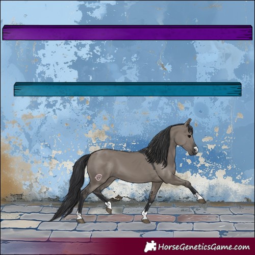 Horse Color:Grullo 