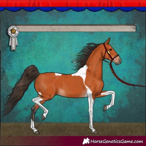 Horse Color:Bay Tobiano 