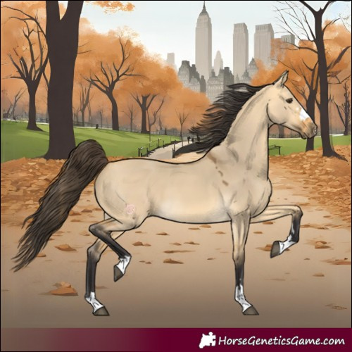 Horse Color:Buckskin Dun 