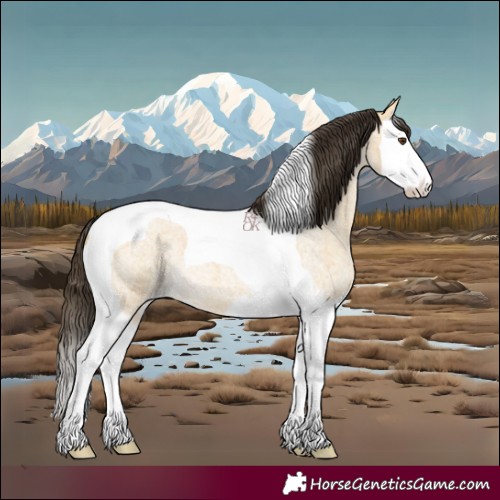 Horse Color:Buckskin Roan Dun Splash Tobiano 