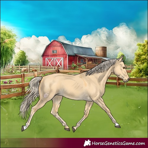 Horse Color:Palomino Dun 