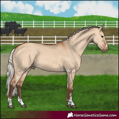 Horse Color:Silver Bay Dun 
