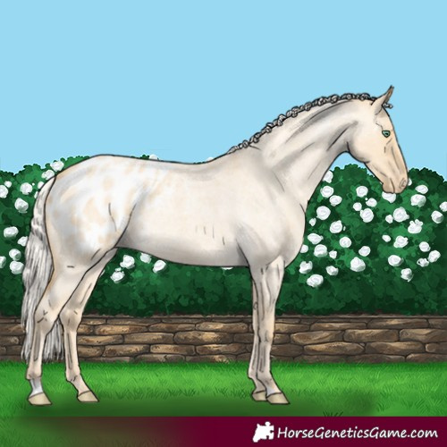 Horse Color:Silver Classic Cream Champagne Roan Dun Appaloosa Rabicano 