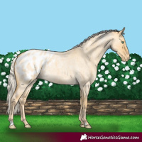 Horse Color:Silver Classic Cream Champagne Roan Dun Appaloosa Rabicano 