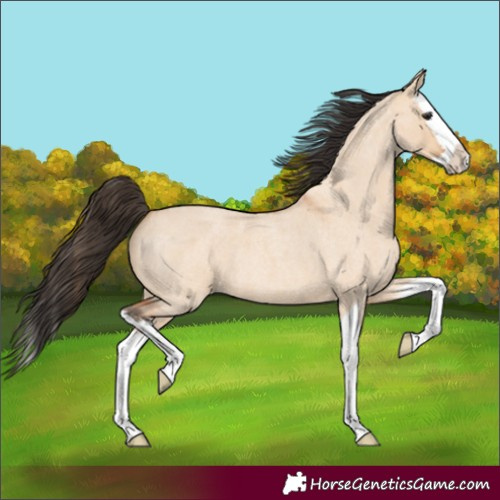 Horse Color:Bay Roan Dun Splash 