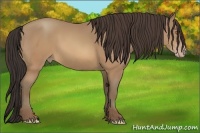 Horse Color:Sable Champagne 