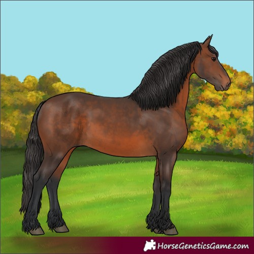 Horse Color:Unknown 