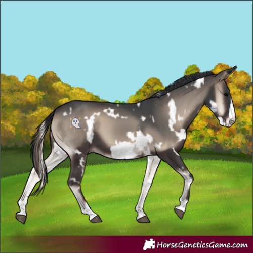 Horse Color:White Spotted Blue Onyx Frame