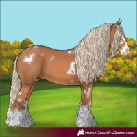 Horse Color:White Spotted Chestnut Splash 
