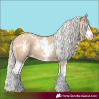 Horse Color:White Spotted Silver Classic Champagne Dun Splash