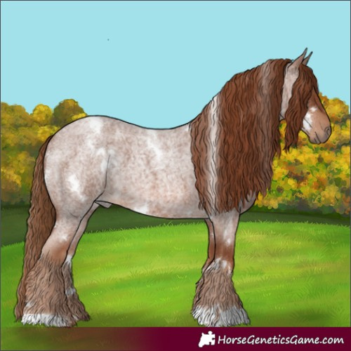 Horse Color:White Spotted Red Roan 