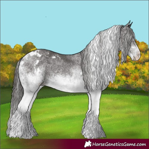 Horse Color:White Spotted Liver Chestnut 