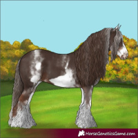 Horse Color:White Spotted Liver Chestnut Frame