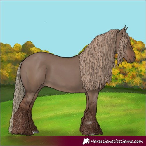 Horse Color:Liver Red Dun Rabicano 