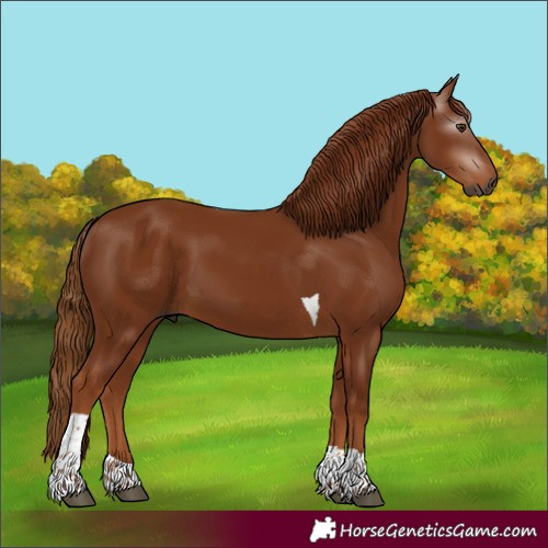 Horse Color:Gray Chestnut Tobiano