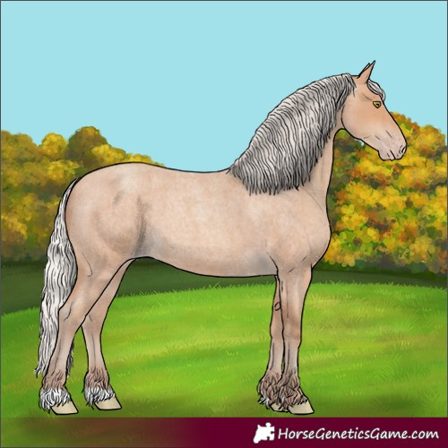 Horse Color:Silver Amber Champagne Roan 