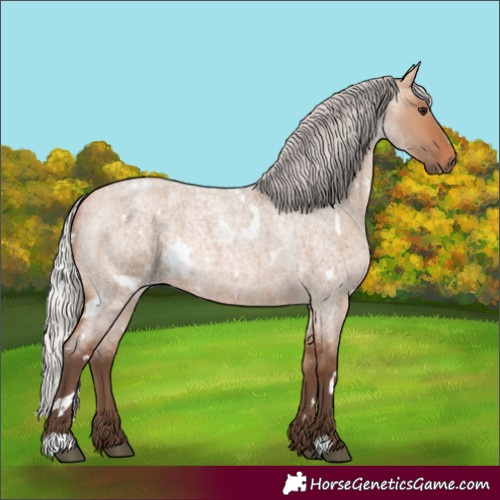 Horse Color:White Spotted Silver Bay Roan Dun 