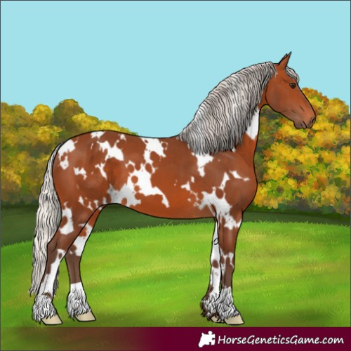 Horse Color:White Spotted Silver Bay 