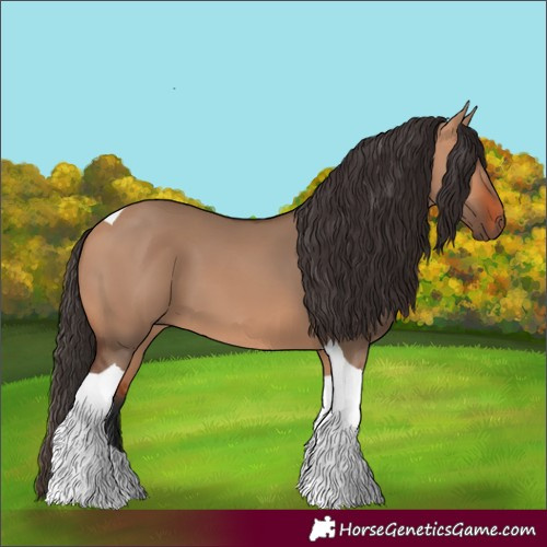 Horse Color:Bay Dun Tobiano 