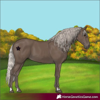 Horse Color:Silver Black 