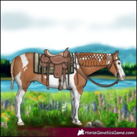 Horse Color:Chestnut Splash Tobiano