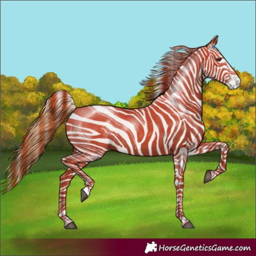 Horse Color:Chestnut Rabicano 