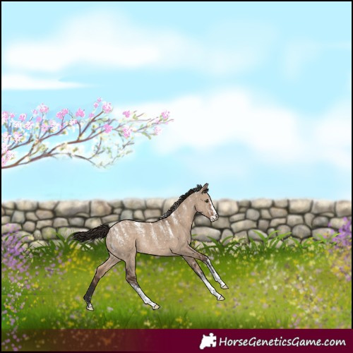 Horse Color:Powder White Liver Red Dun Appaloosa Rabicano 