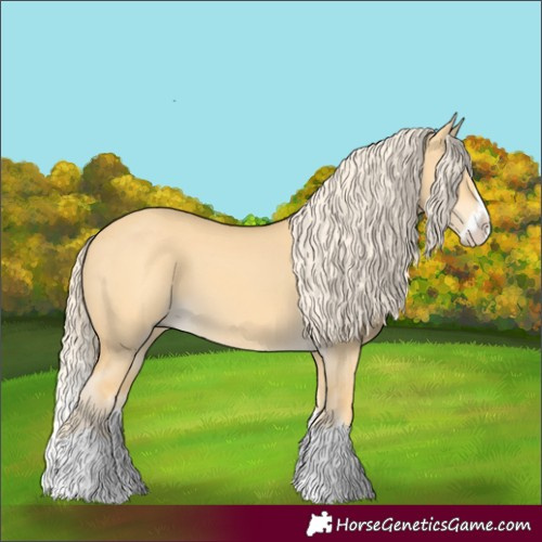 Horse Color:Palomino Dun Splash 