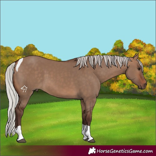 Horse Color:Silver Brown Dun Tobiano 