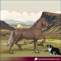 Horse Color:Silver Black 