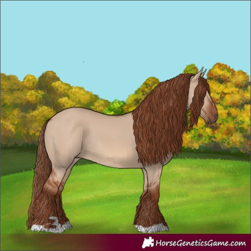 Horse Color:Red Dun Rabicano