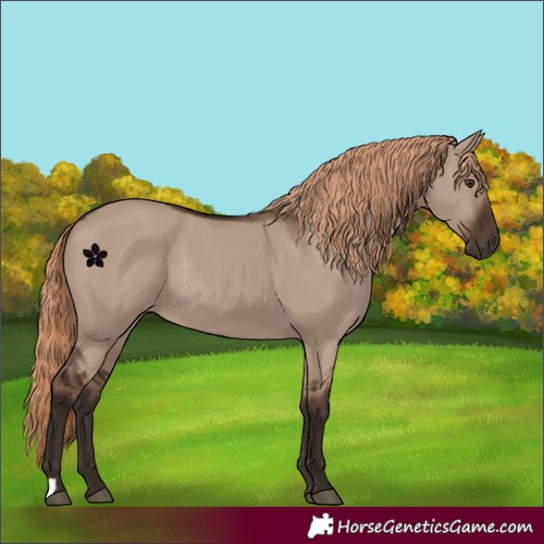 Horse Color:Liver Red Dun Rabicano