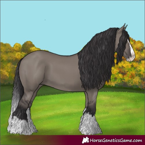 Horse Color:Smoky Grullo Splash 