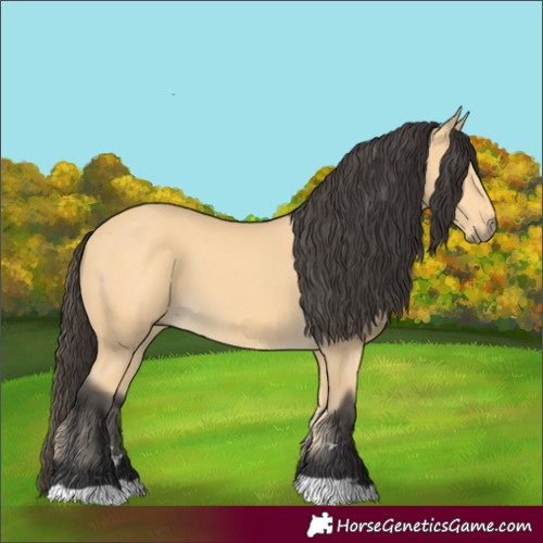Horse Color:Unknown 