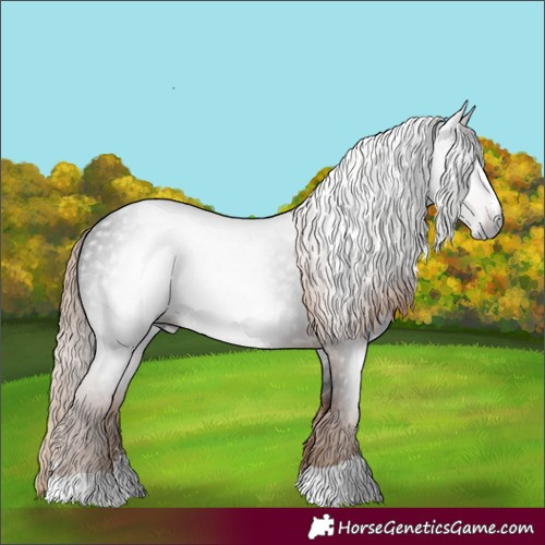 Horse Color:Gray Liver Chestnut Rabicano