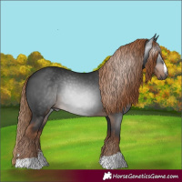 Horse Color:Gray Liver Chestnut Rabicano 