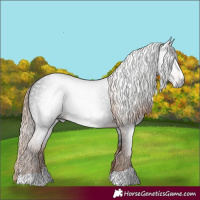 Horse Color:Gray Liver Chestnut Rabicano 