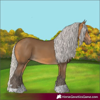 Horse Color:Silver Buckskin 