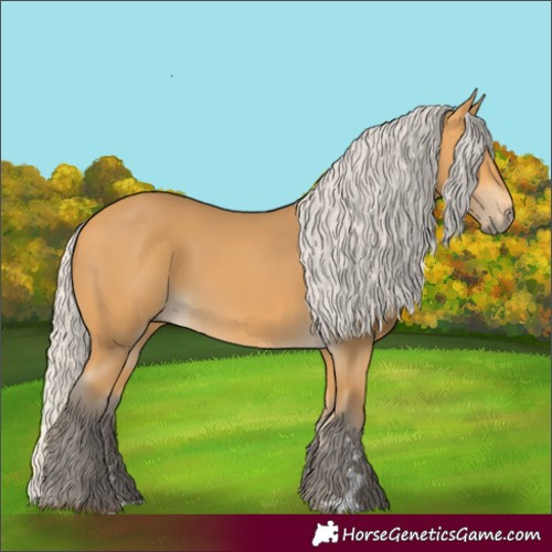 Horse Color:Silver Buckskin 