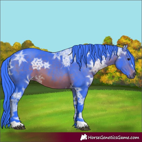 Horse Color:Watercolor Brown Ice 