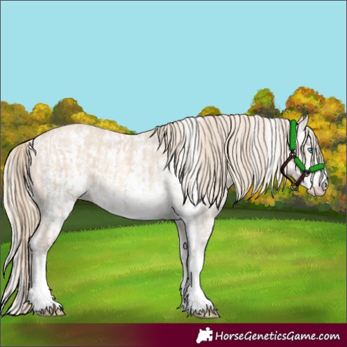 Horse Color:Smoky Creme Sabino  and Perlino Sabino 
