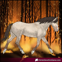 Horse Color:Amber Champagne Dun 