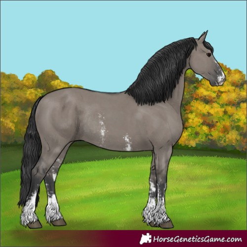 Horse Color:Grullo Sabino Rabicano