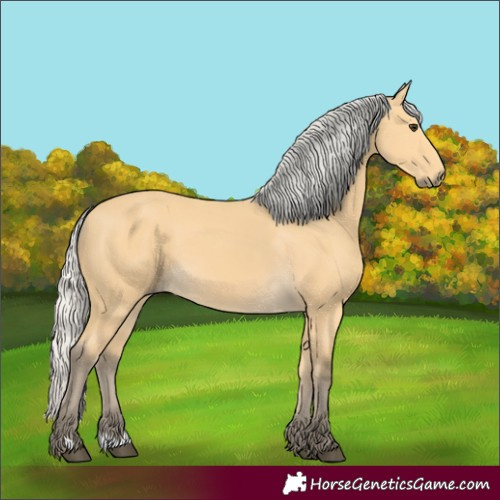 Horse Color:Unknown 