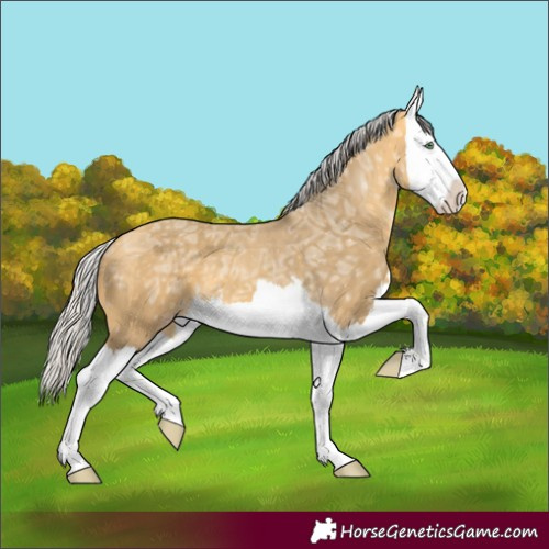 Horse Color:Silver Amber Cream Champagne Ice Splash